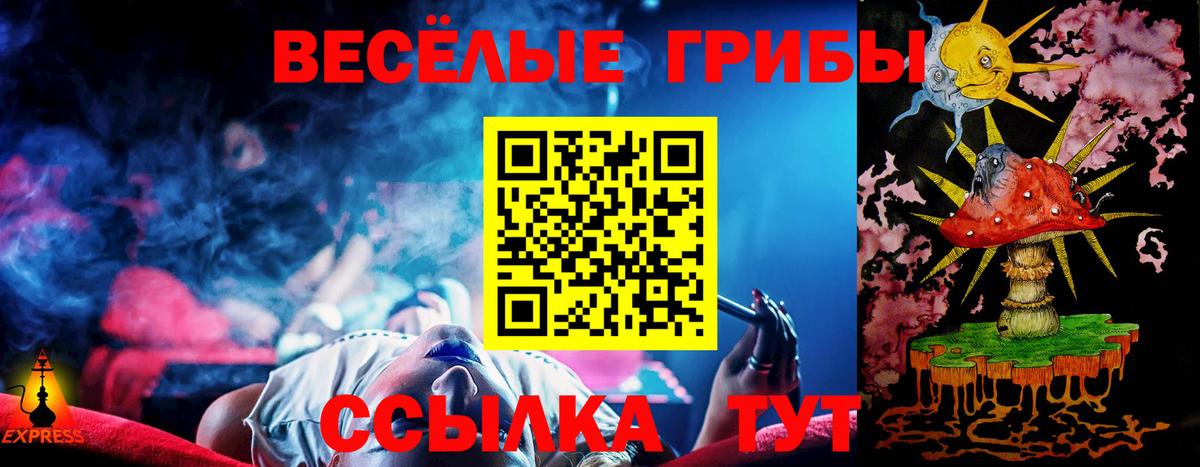 Псилоцибиновые грибы прущие грибы Курганинск